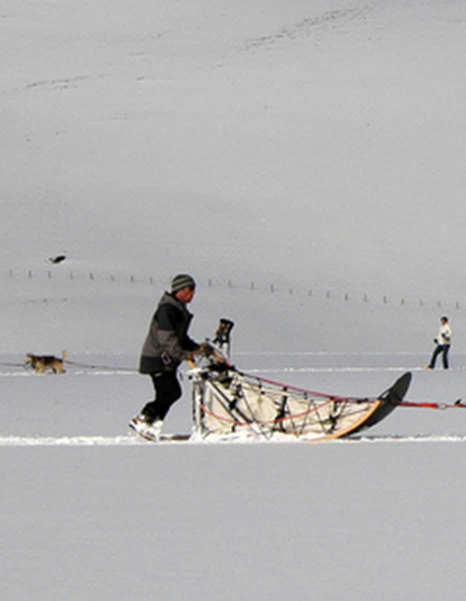 winter activities in the french pyrenees image of